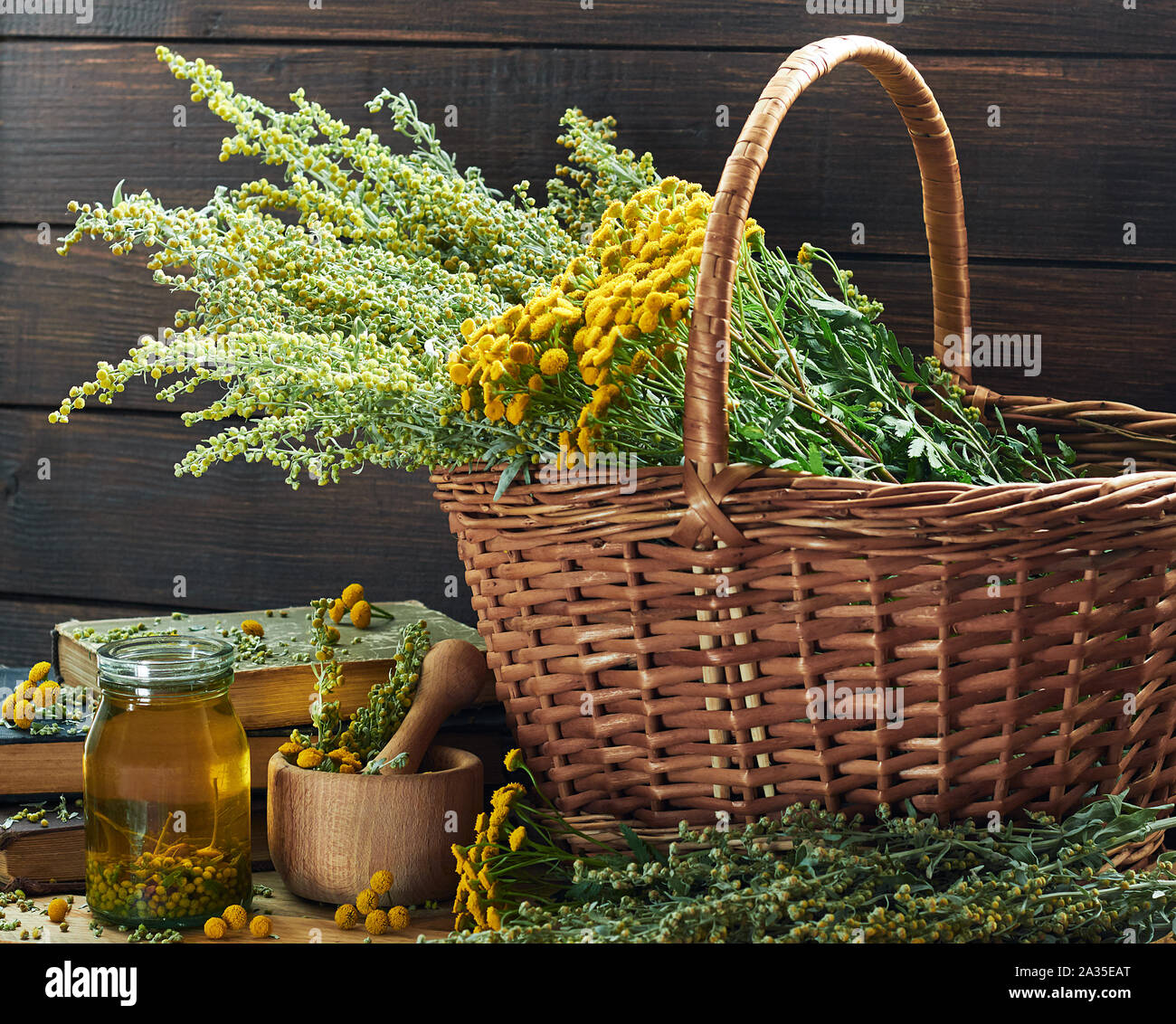Helminthic herbs: absinth and tansy; fresh herbs in the wicker basket and wooden mortar, on old books, healing infusion is nearby, closeup, copy space Stock Photo