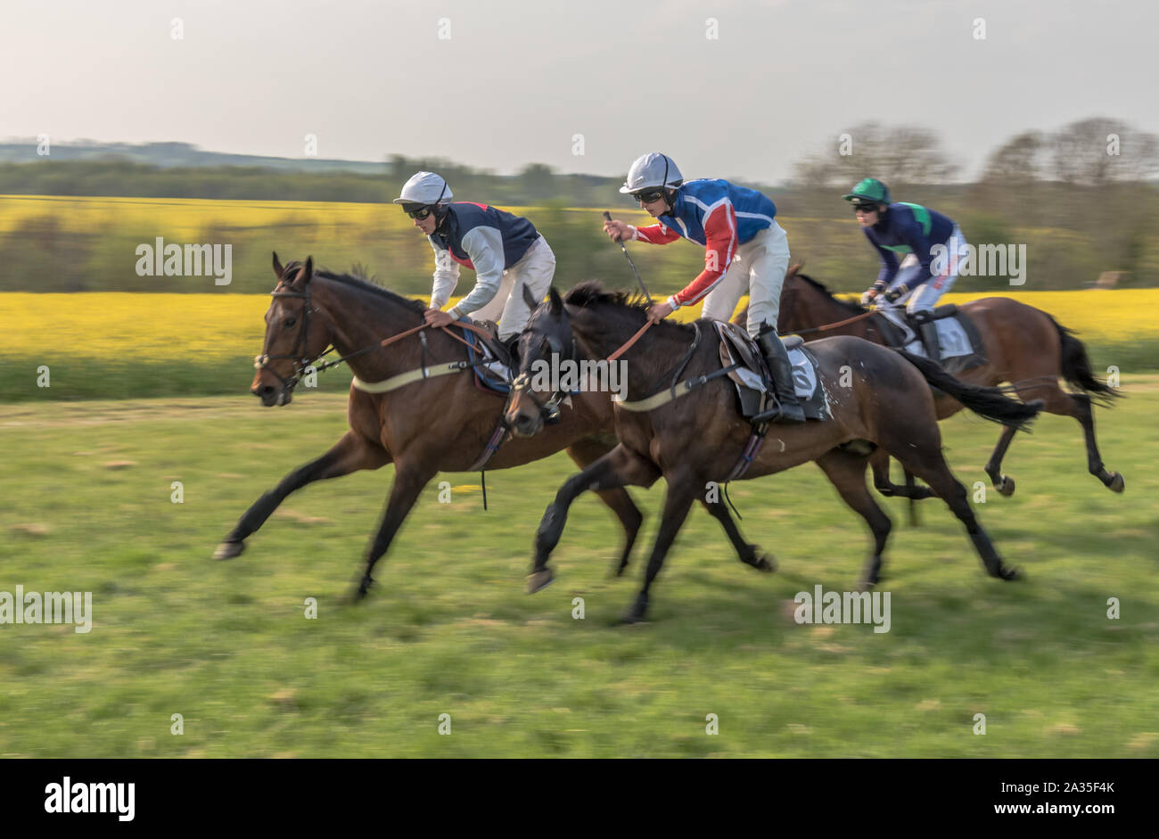 Racing the final furlong at Paxford point-to-point races Stock Photo