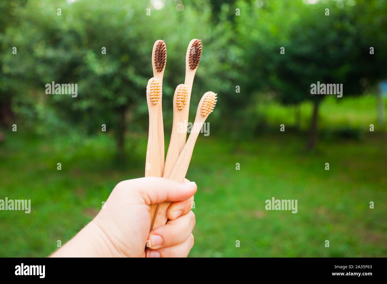 Five bamboo toothbrushes in a hand outdoors Stock Photo