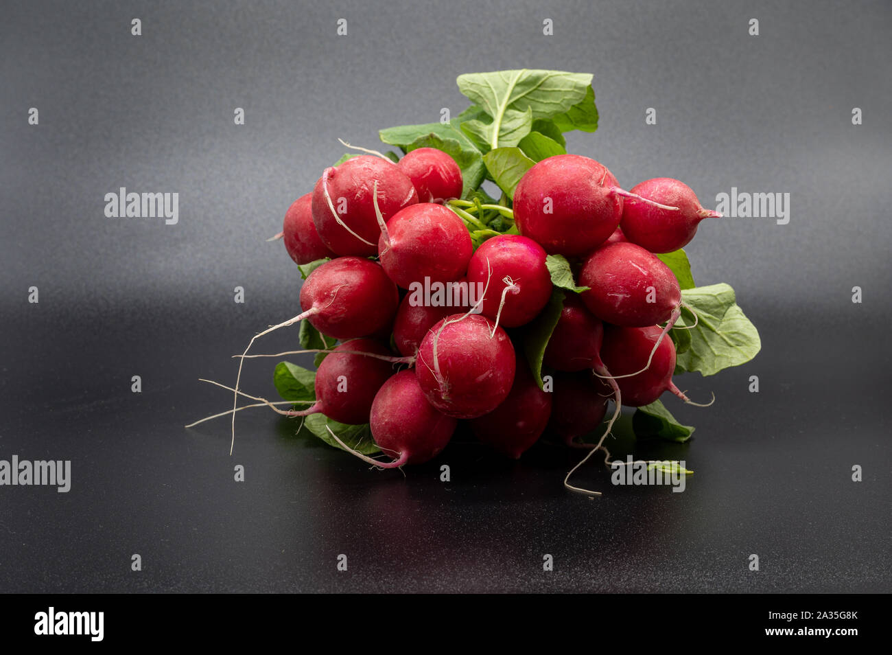 Small garden radish isolated on black background Stock Photo