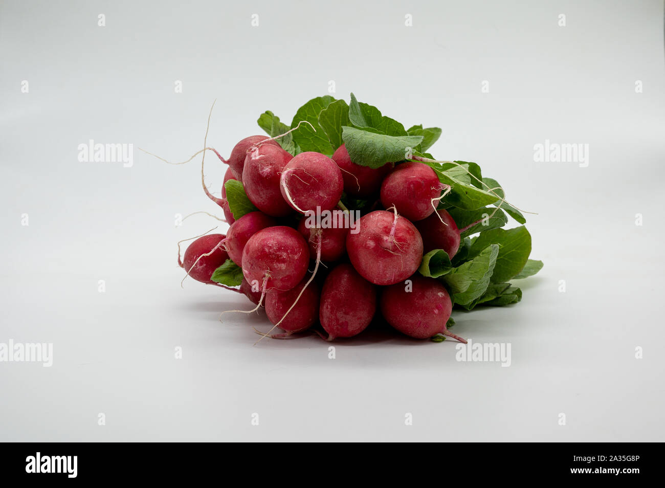Small garden radish isolated on white background Stock Photo