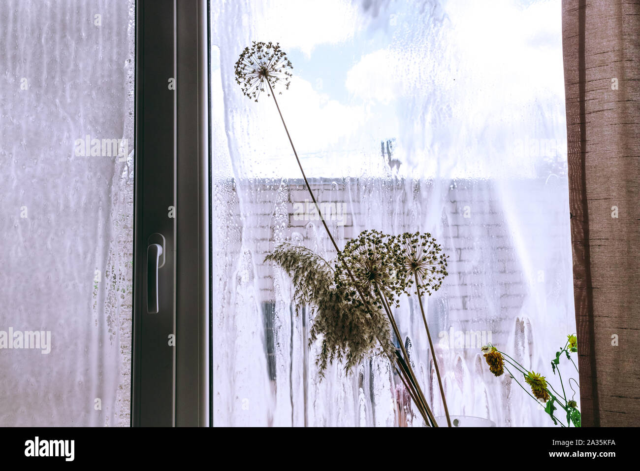 House cleaning. Washing dirty window glass. detergent Stock Photo Alamy