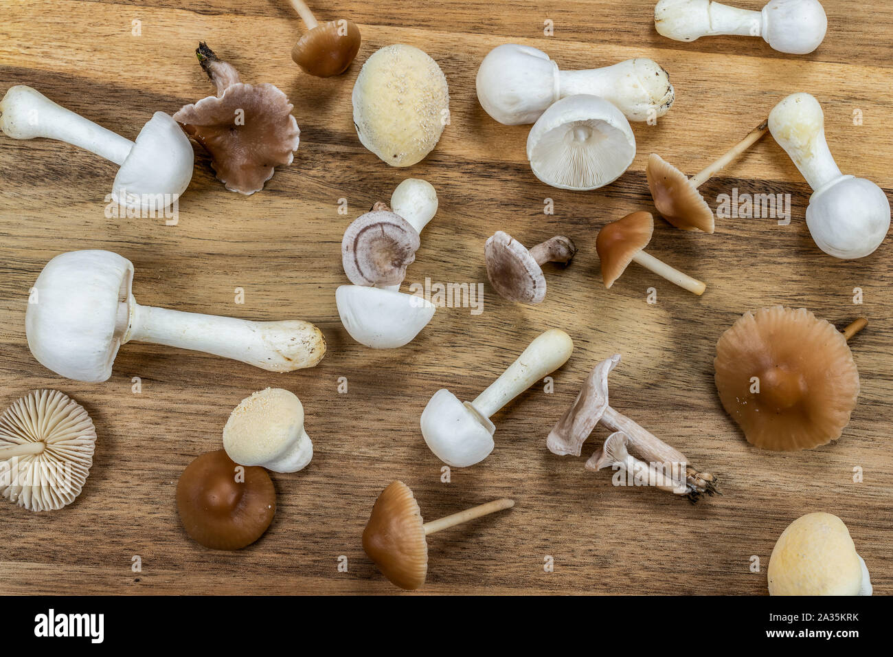 Fresh mushrooms on a wooden chopping board. Overhead view. Stock Photo