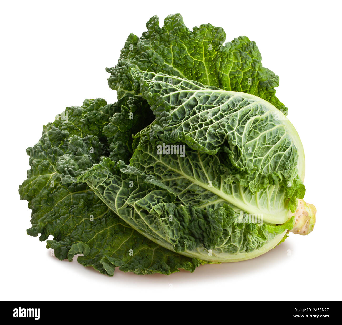 savoy cabbage path isolated on white Stock Photo