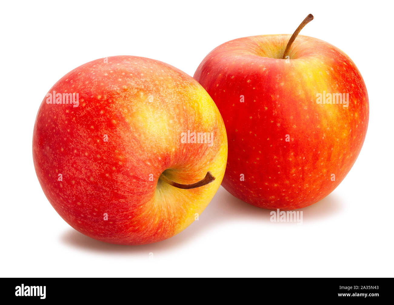 red yellow apples path isolated on white Stock Photo - Alamy