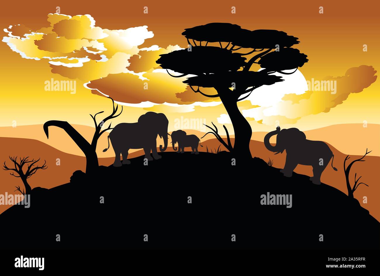 Colorful sunset scene, african landscape with silhouette of trees and ...