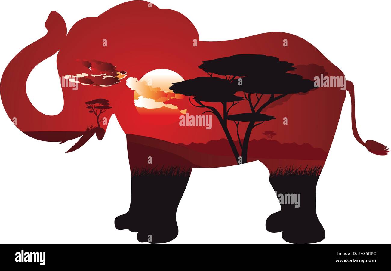 Colorful sunset scene, african landscape with silhouette of trees and ...