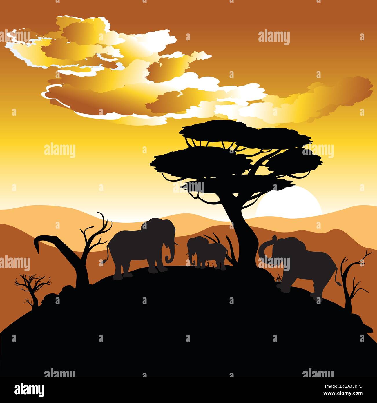 Colorful sunset scene, african landscape with silhouette of trees and ...