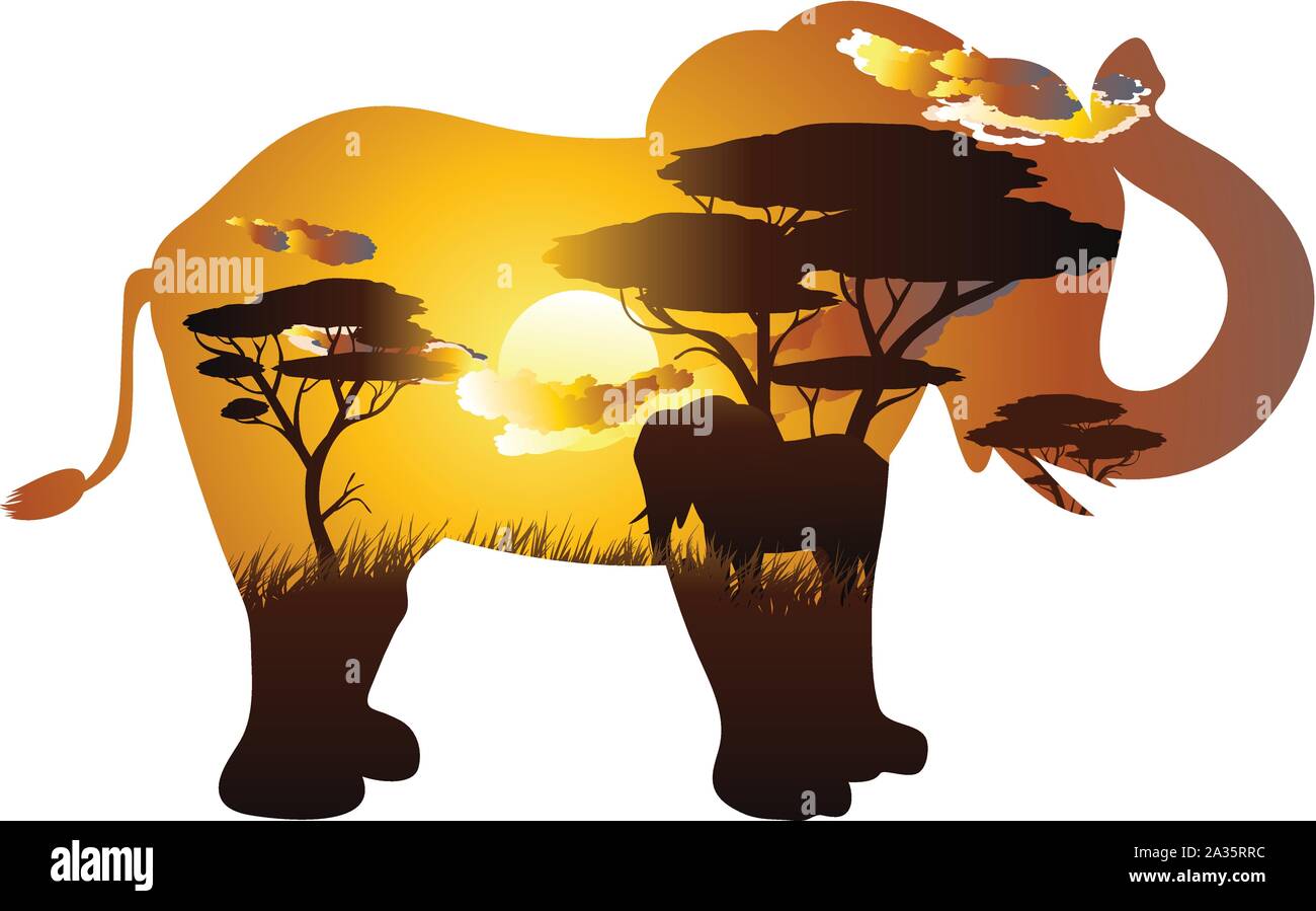 Colorful sunset scene, african landscape with silhouette of trees and ...