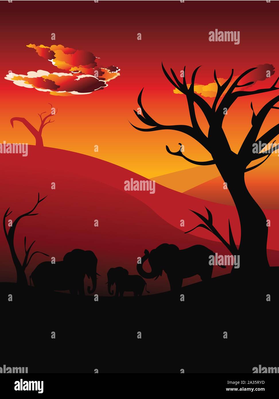 Colorful sunset scene, african landscape with silhouette of trees and ...