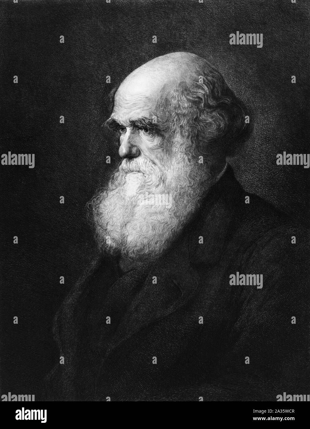 Vintage portrait of English naturalist, geologist and biologist Charles Darwin (1809 – 1882), whose famous works on evolutionary theory include “On the Origin of Species” in 1859 and “The Descent of Man” in 1871. Etching circa 1890 by Gustave Mercier, based on an 1875 painting by artist Walter William Ouless and published by Robert Lindsay of Philadelphia. Stock Photo