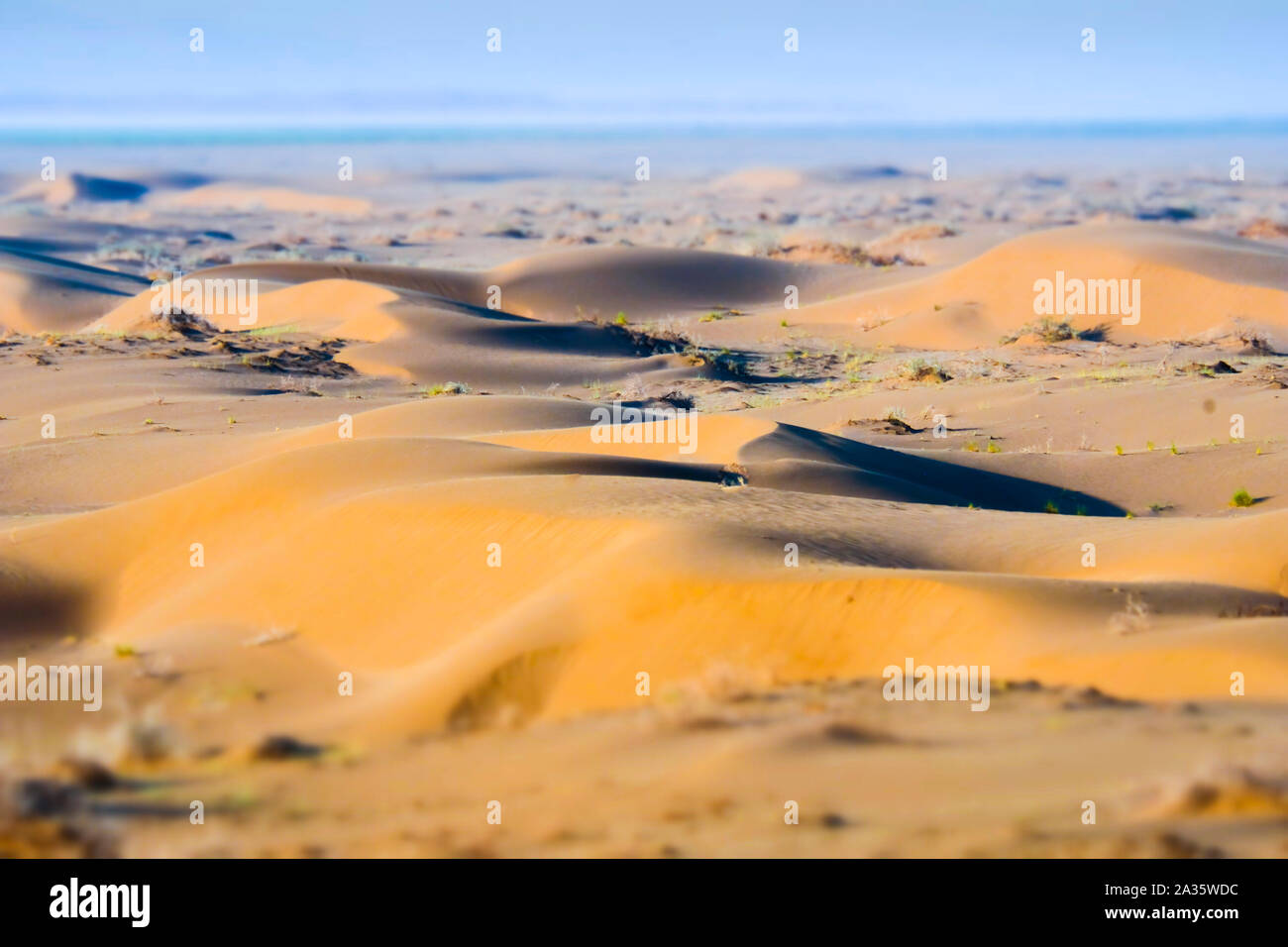 Desert dunes view. Stock Photo