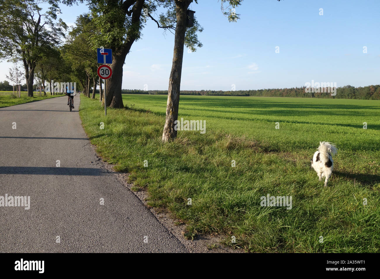 SACKGASSE . 30 km/h Stock Photo