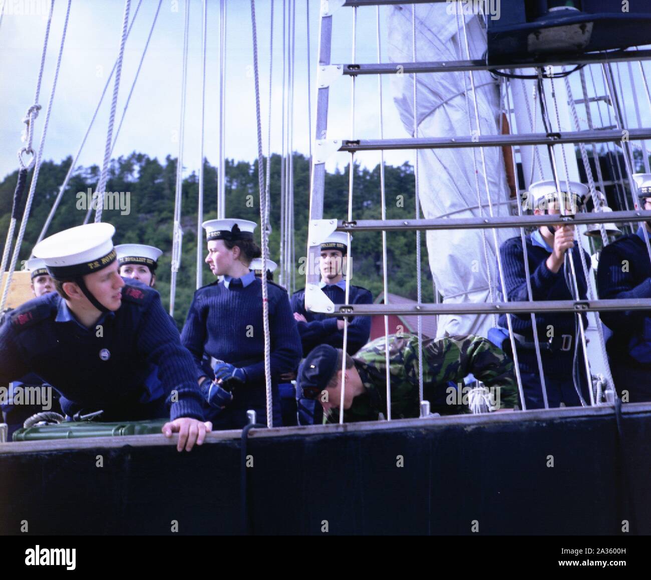 Ts royalist tall ship hi-res stock photography and images - Alamy