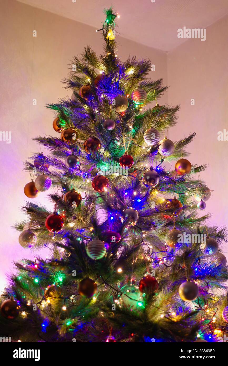 Christmas Tree Glowing with Fairy Lights in a Living Room. Devon, UK Stock  Photo - Alamy