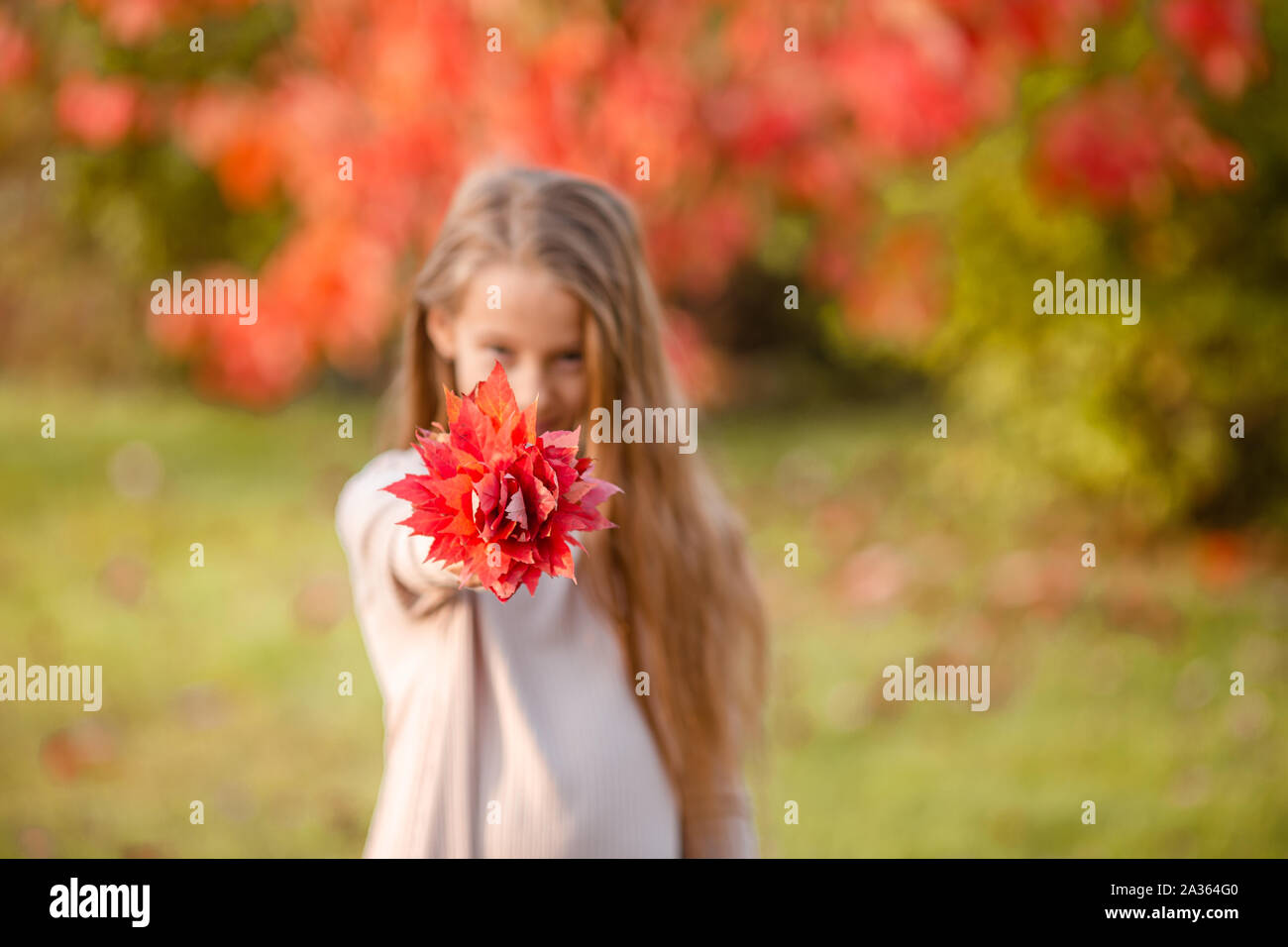 Portrait of adorable little girl with yellow leaves bouquet in fall at ...