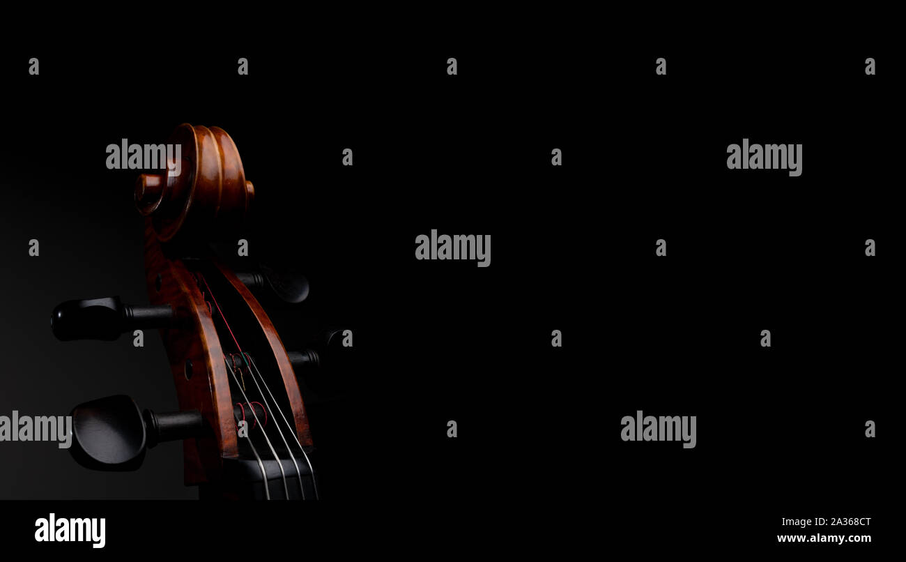 A close up high resolution image of a cello scroll, peg box, and tuning pegs isolated against a
