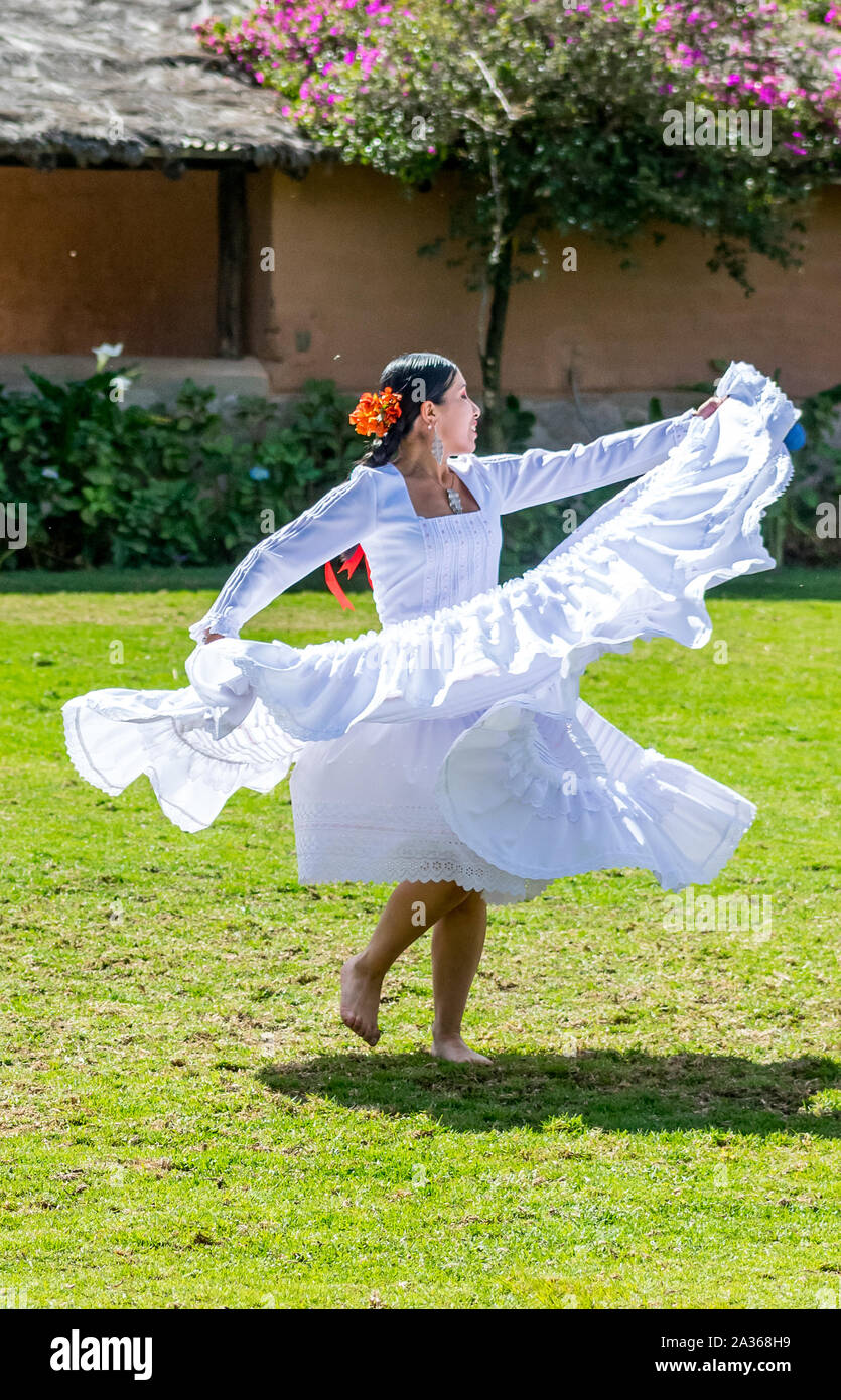 Sacred Valley, Peru 05/21/2019 Beautiful traditional Peruvian horse