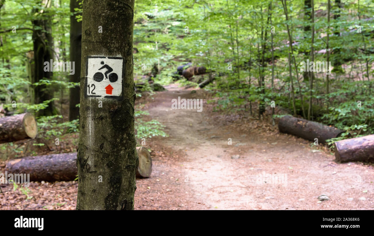 Bike mountain trail in a forest near Szklarska Poreba in Giant Mountains, Poland Stock Photo