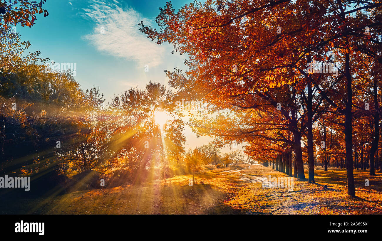 Morning autumn colors hi-res stock photography and images - Alamy