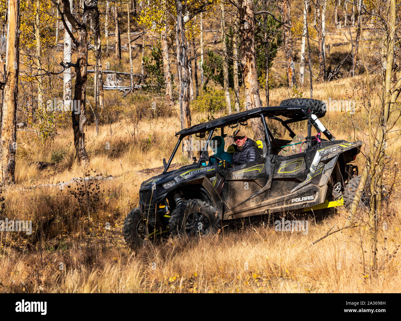 Couple driving an all terrain vehicle (ATV) through the autumn forest; Aspen Ridge; central Colorado; USA Stock Photo
