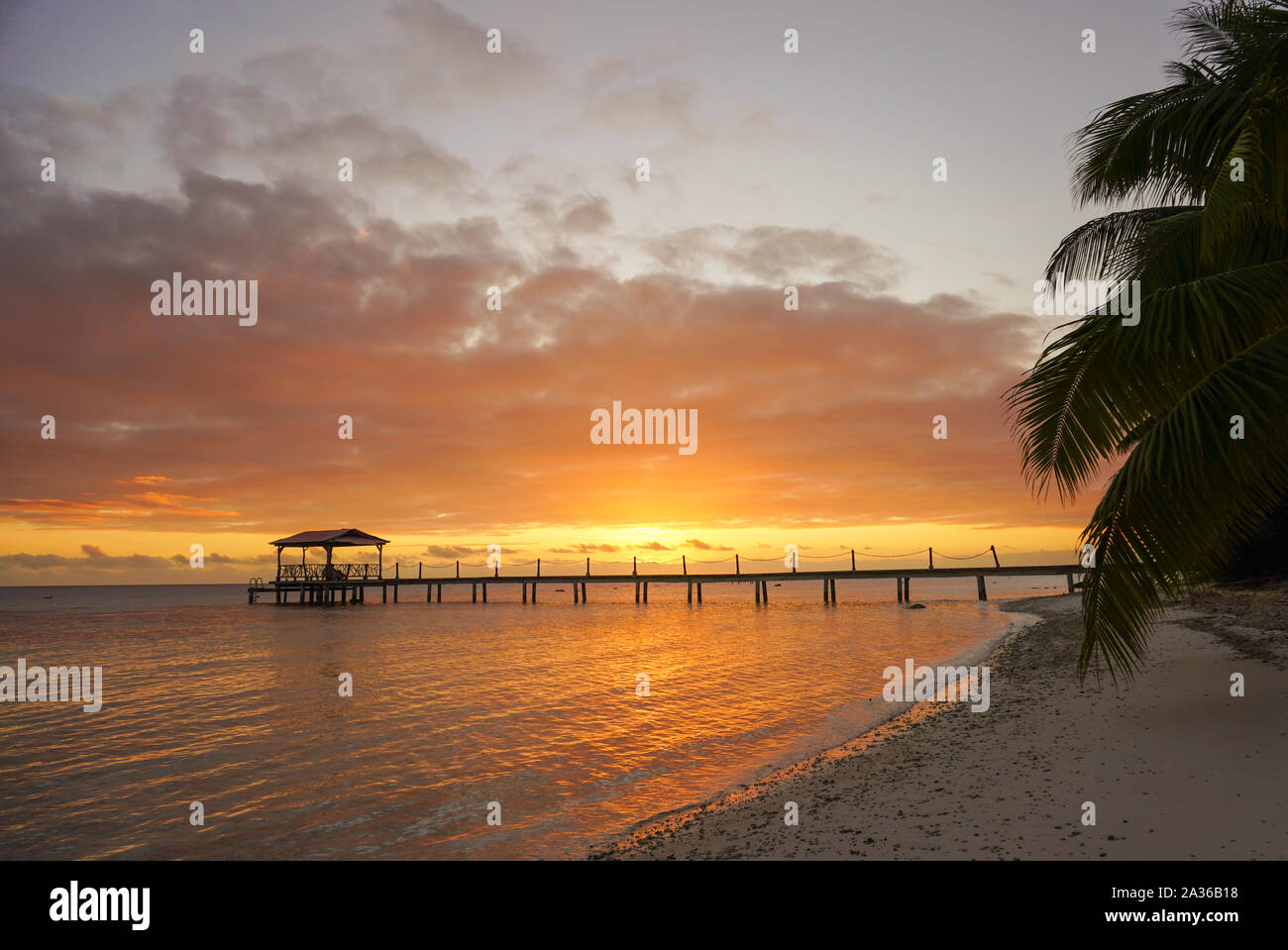 View of a dock leading out into water framed by palm trees on the tropical island of Fakarava in French Polynesia Stock Photo