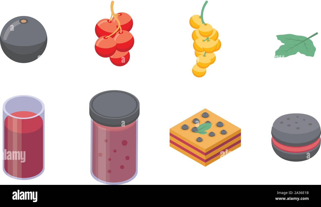 Currant icons set, isometric style Stock Vector