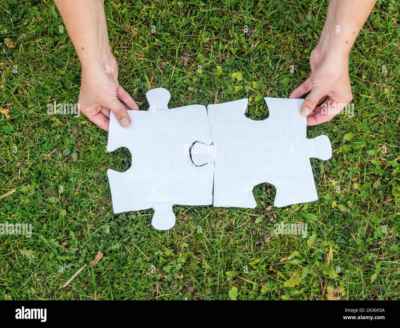 solution is found Stock Photo