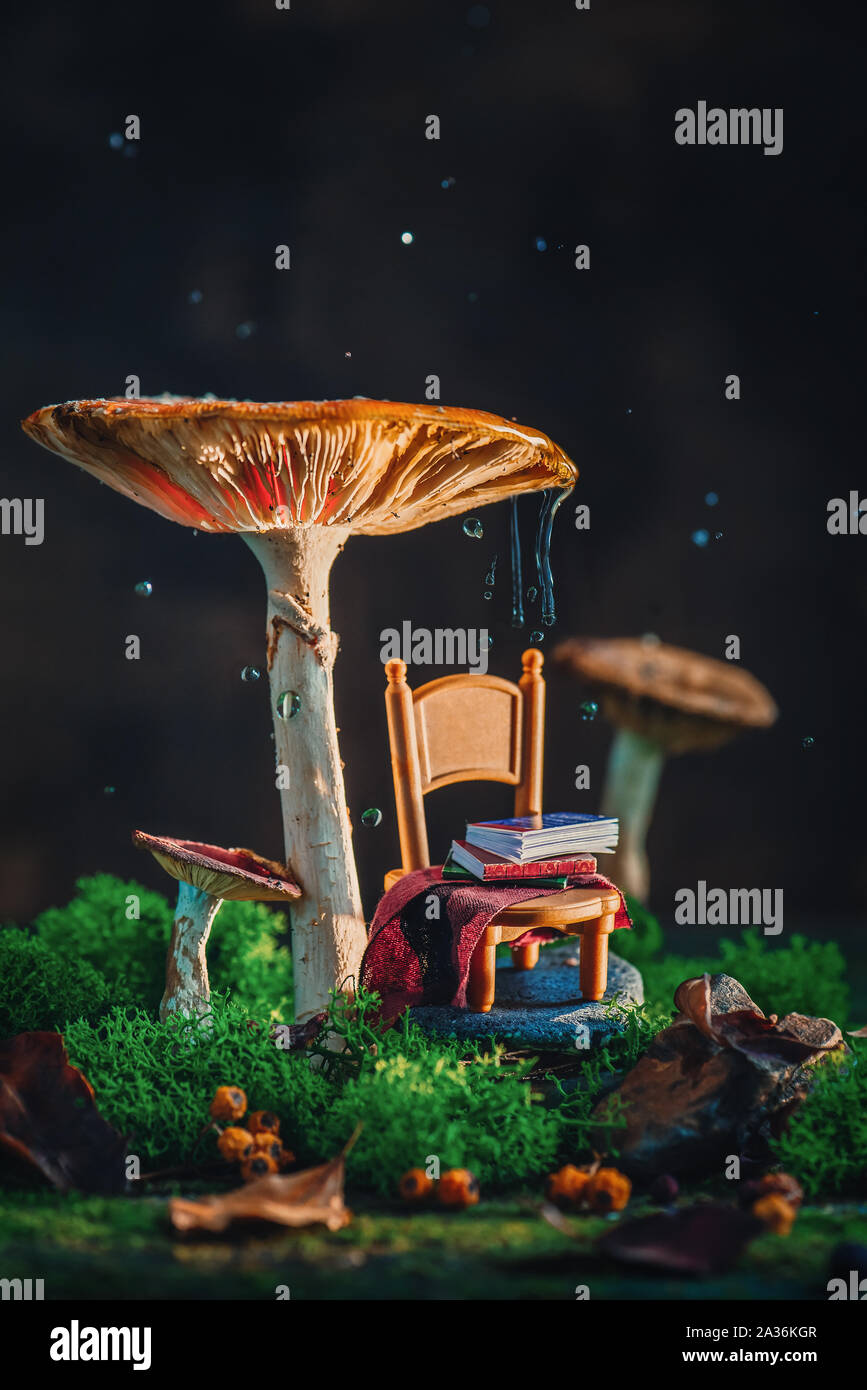 Tiny chair with plaid and a stack of books under a gigantic mushroom with moss and raindrops. Magical forest scene with copy space. Stock Photo