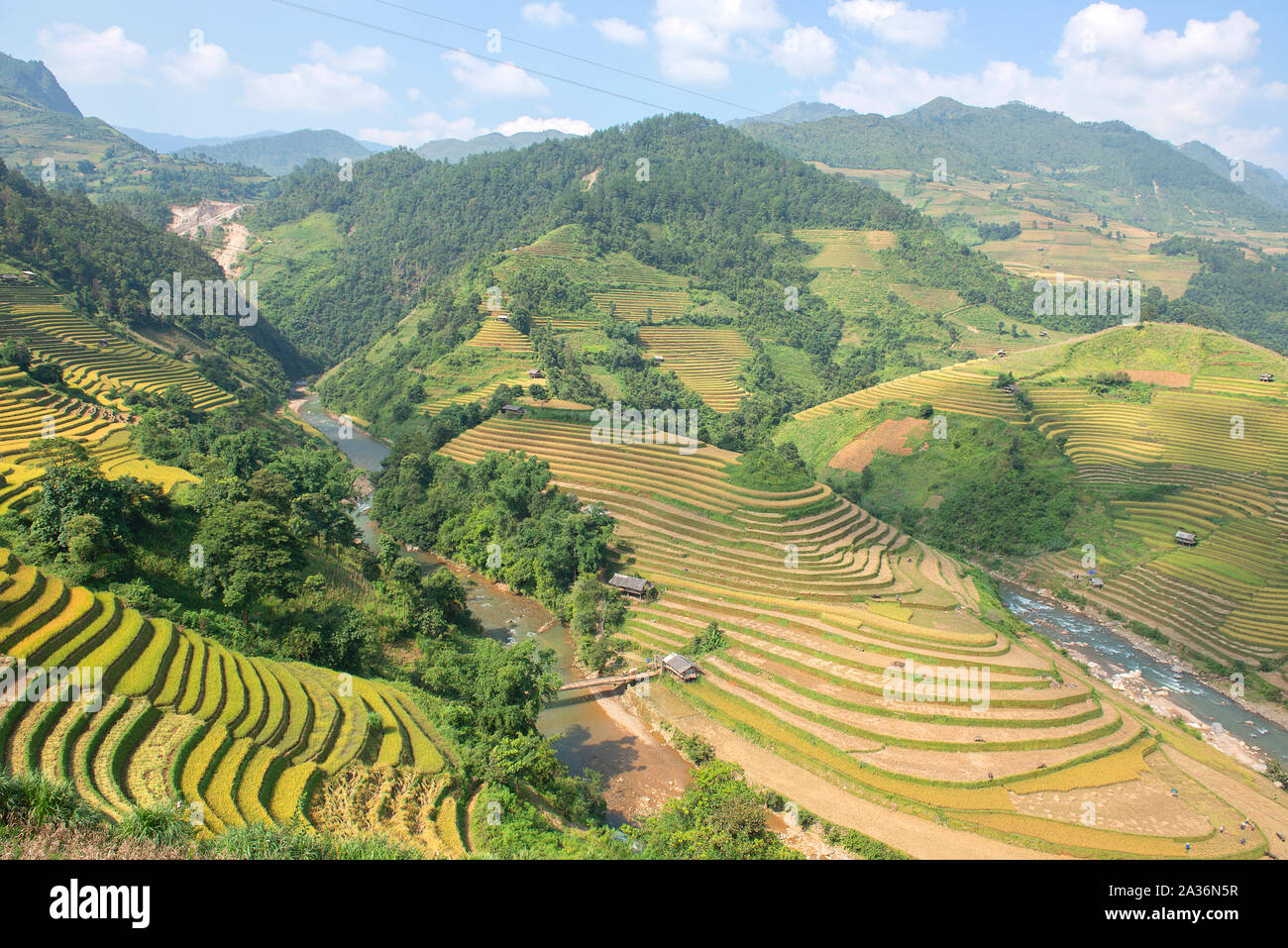 Green, brown, yellow and golden rice terrace fields in Mu Cang Chai ...