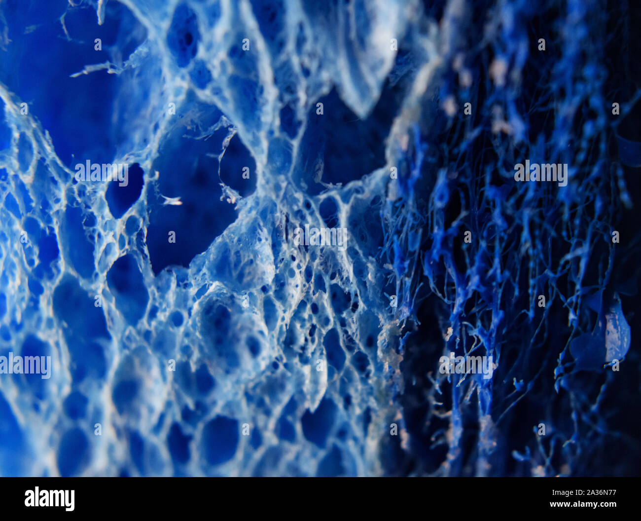 Closeup of Dual Sided Fibrous Textured Blue Scrub Sponge Stock Photo