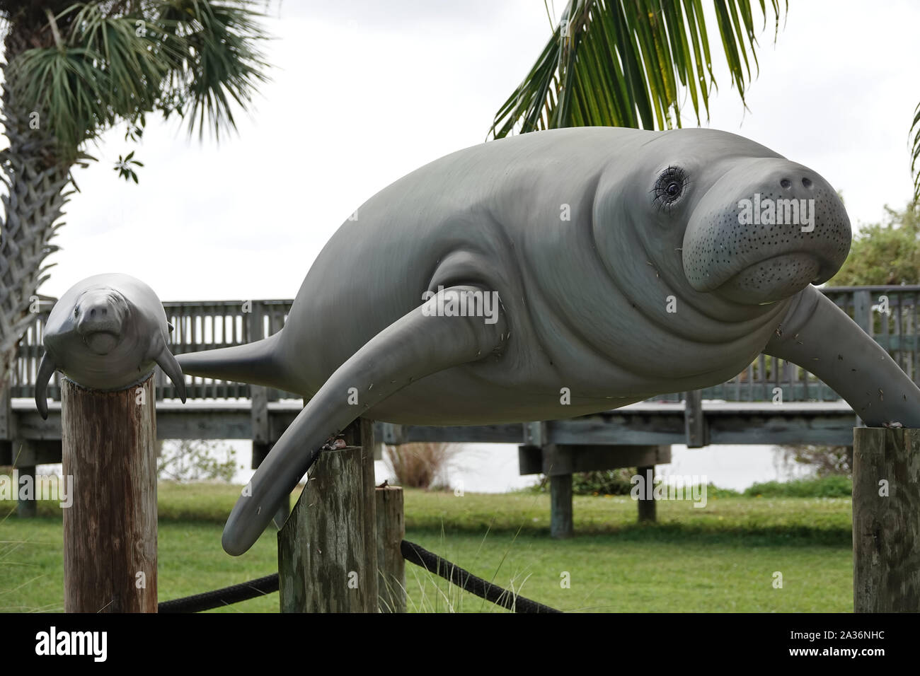 Manatee statues in Manatee Sanctuary Park, Cocoa Beach, Florida, USA