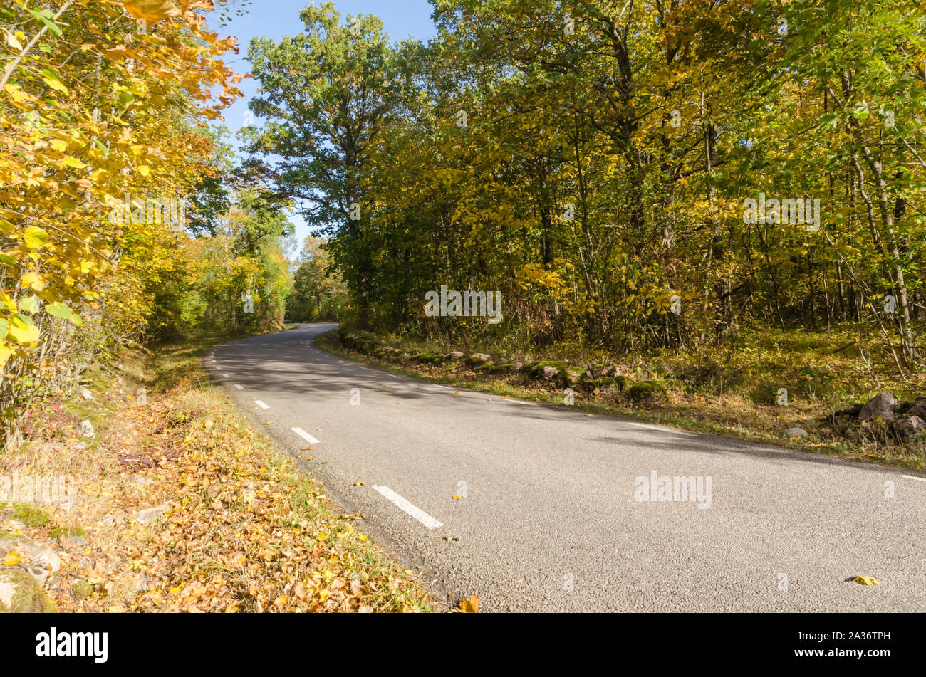 Sunlit winding country road in beautiful fall season colors Stock Photo