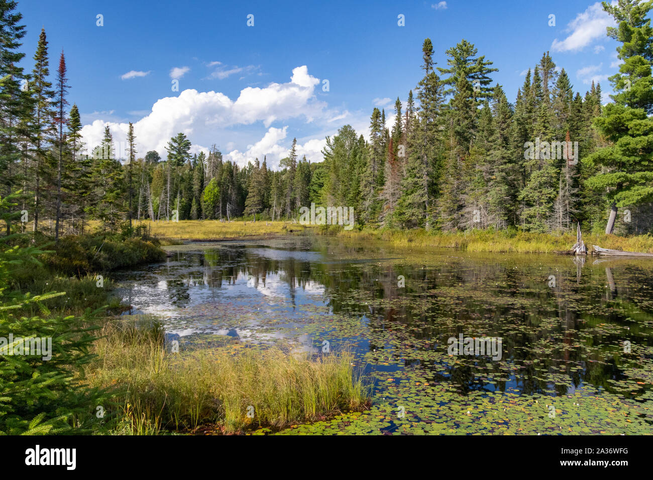Mizzy lake trail hi res stock photography and images Alamy