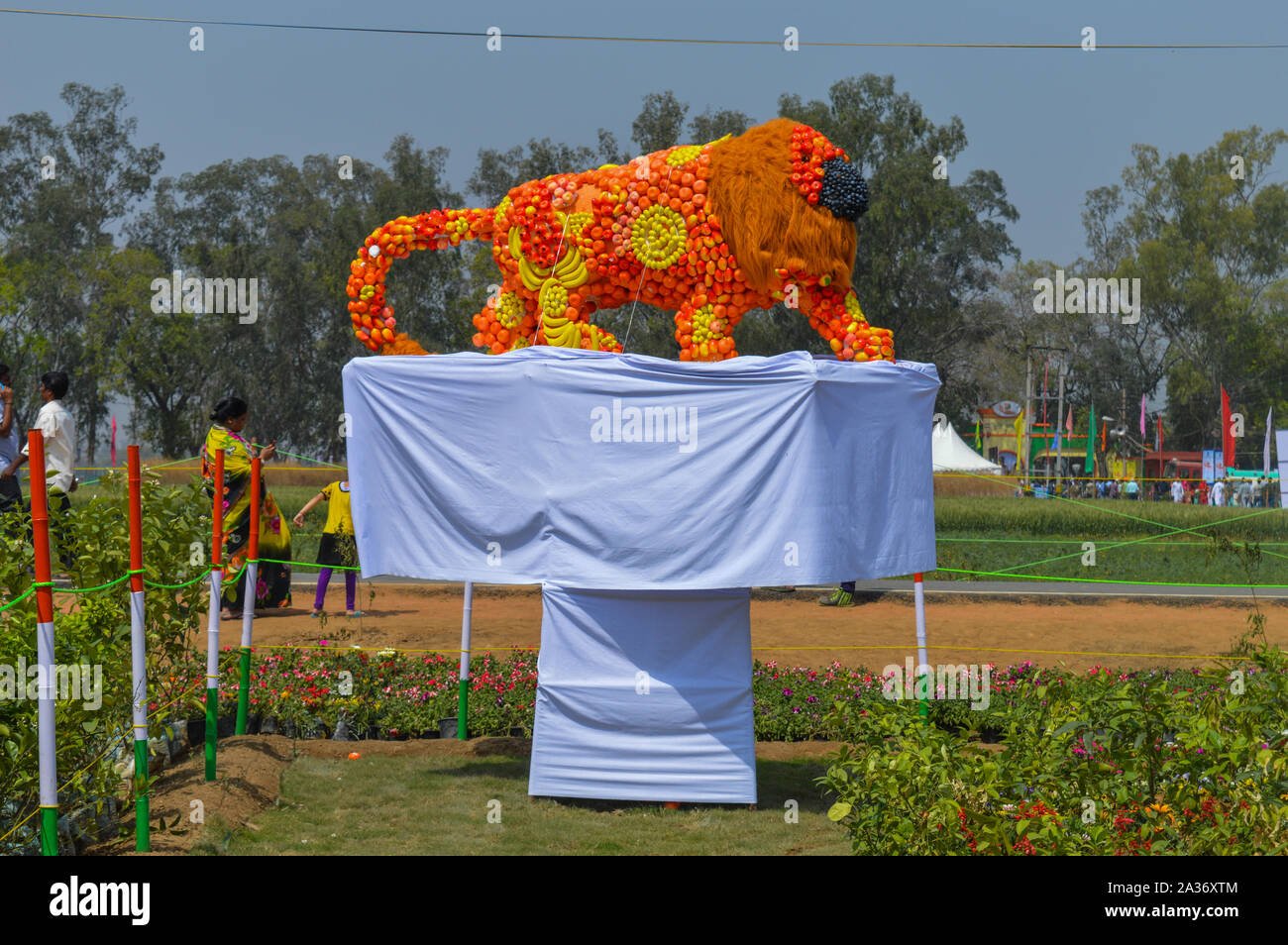 A statue of indian lion which is made of cotton and fruit showcase on the agriculture festival, pusa, New Delhi. Stock Photo
