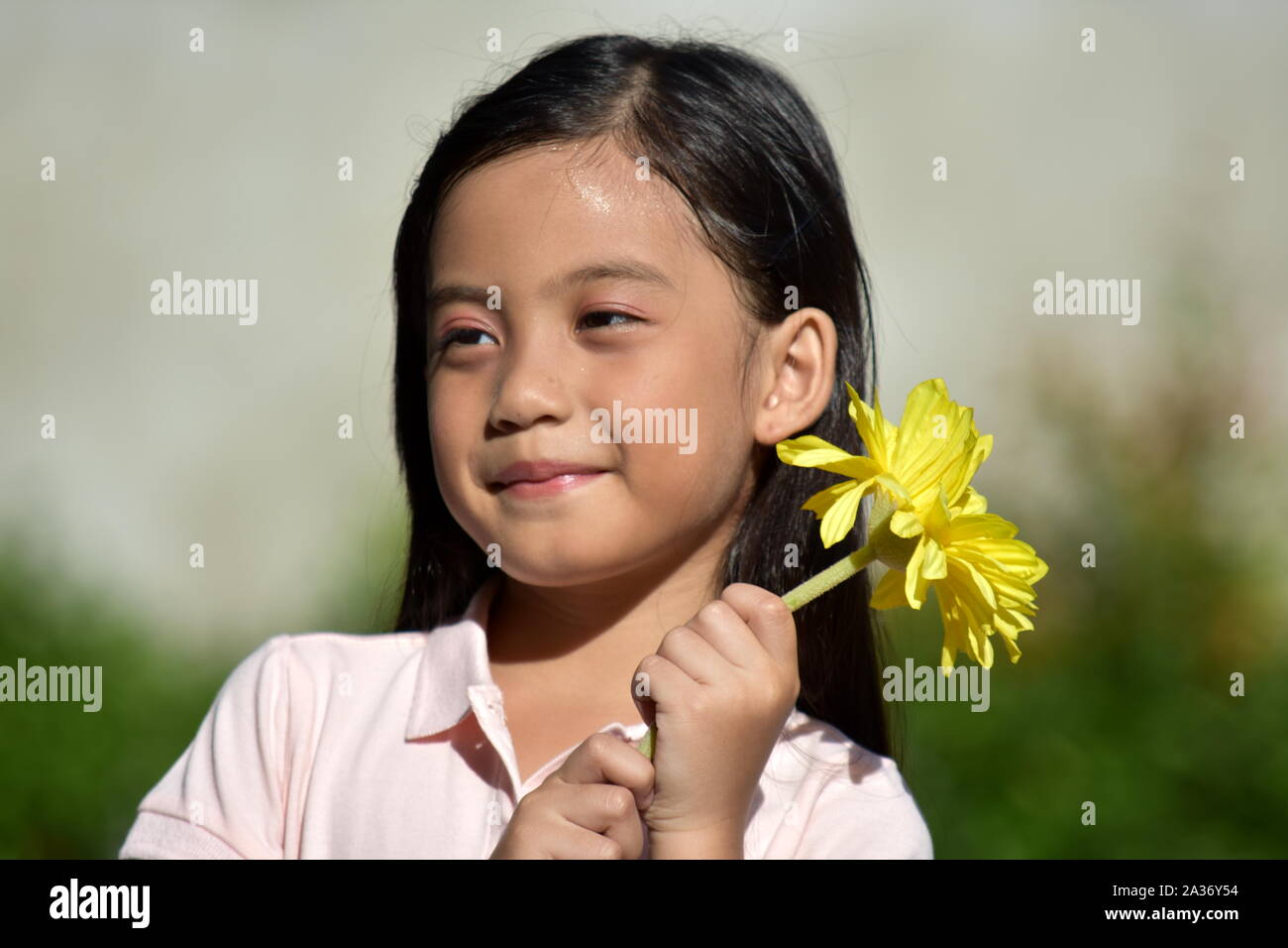 Adorable Beautiful Filipina Person With Flowers Stock Photo