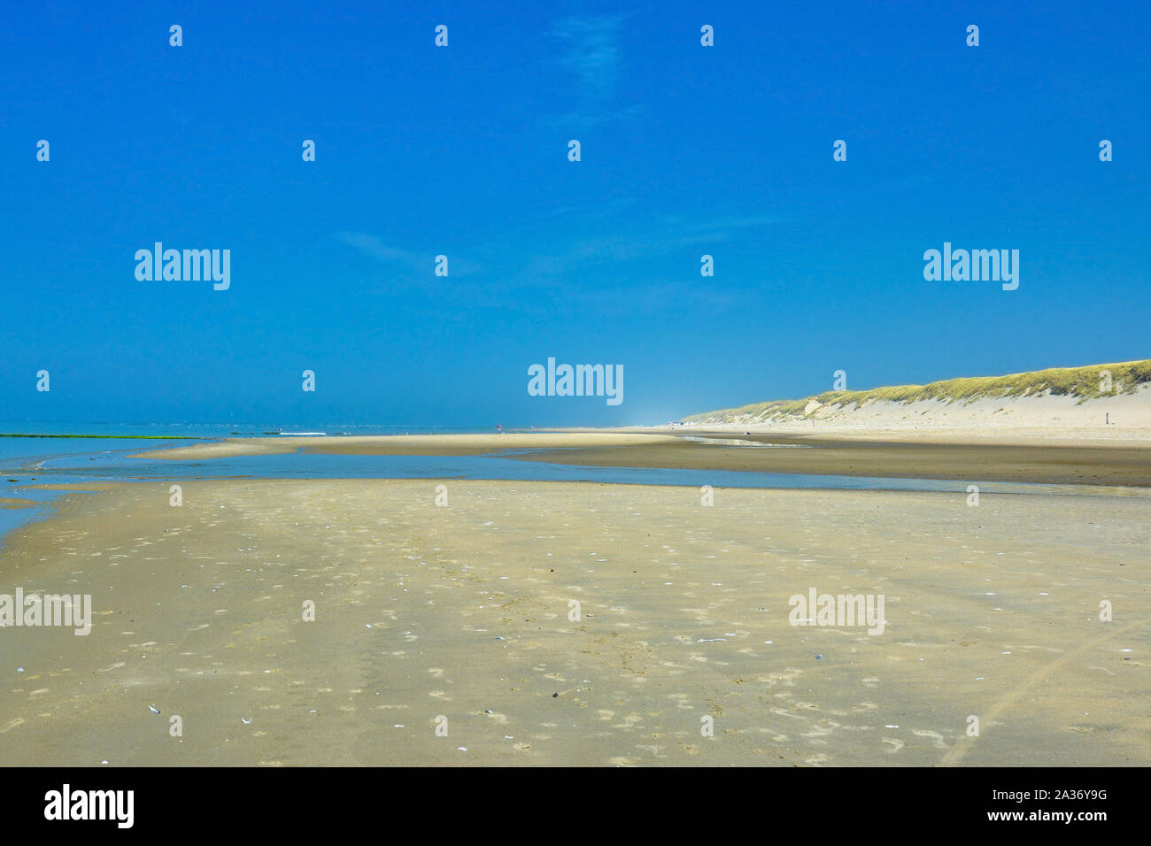View over beautiful beach on district called 'Paal 9' on summer day with blue sky on North Sea island Texel in the Netherlands Stock Photo
