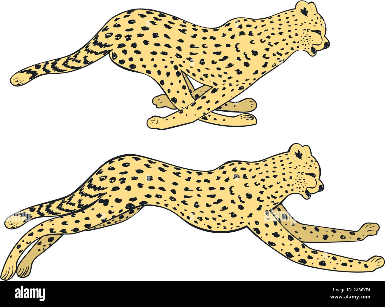 Stylized cheetah silhouette in running pose design illustration. Stock Vector