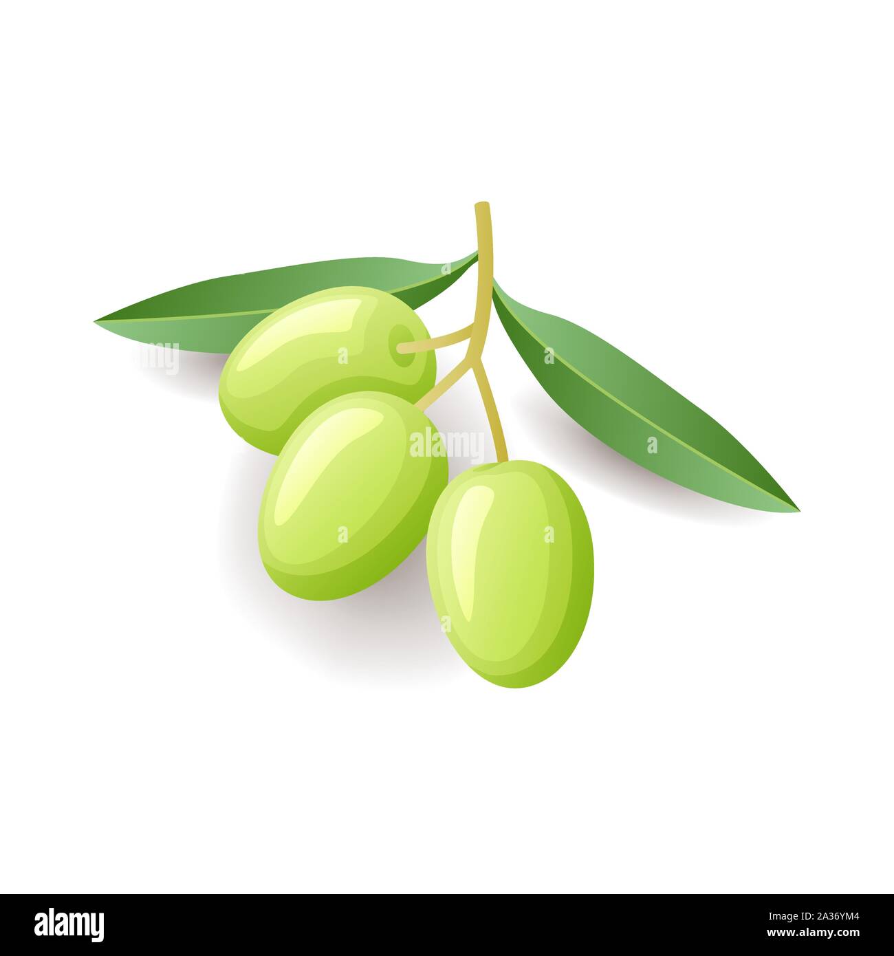 Green olives with leaves on branch icon, vegetable isolated on white background, vector illustration. Stock Vector