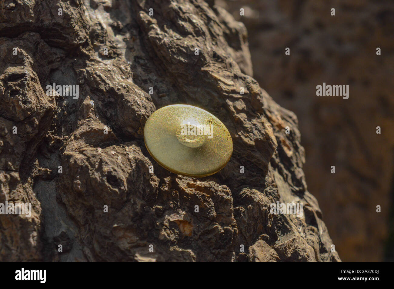A golden push pin clipped on the tree. Stock Photo