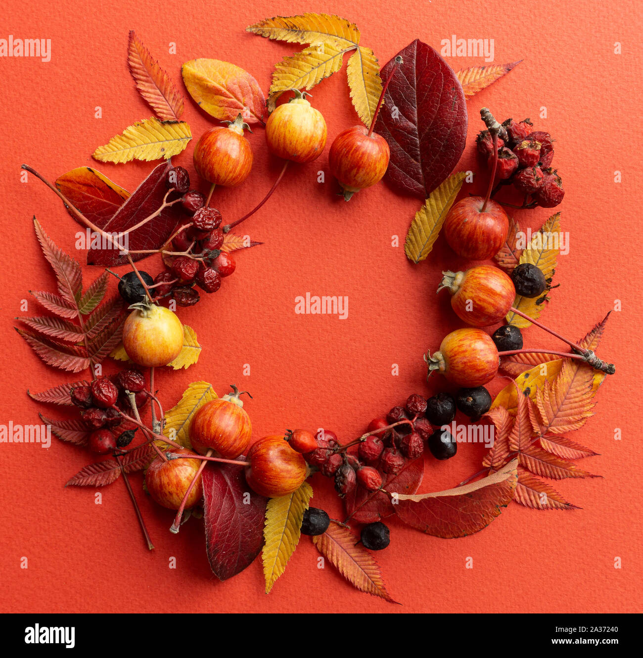 Red Fall Frame Fall background. Fall leaves frame on a red background Stock Photo - Alamy