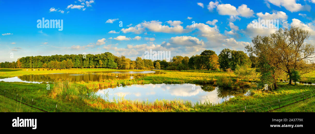 Beautiful landscape with meadows, ponds and trees in autumn Stock Photo