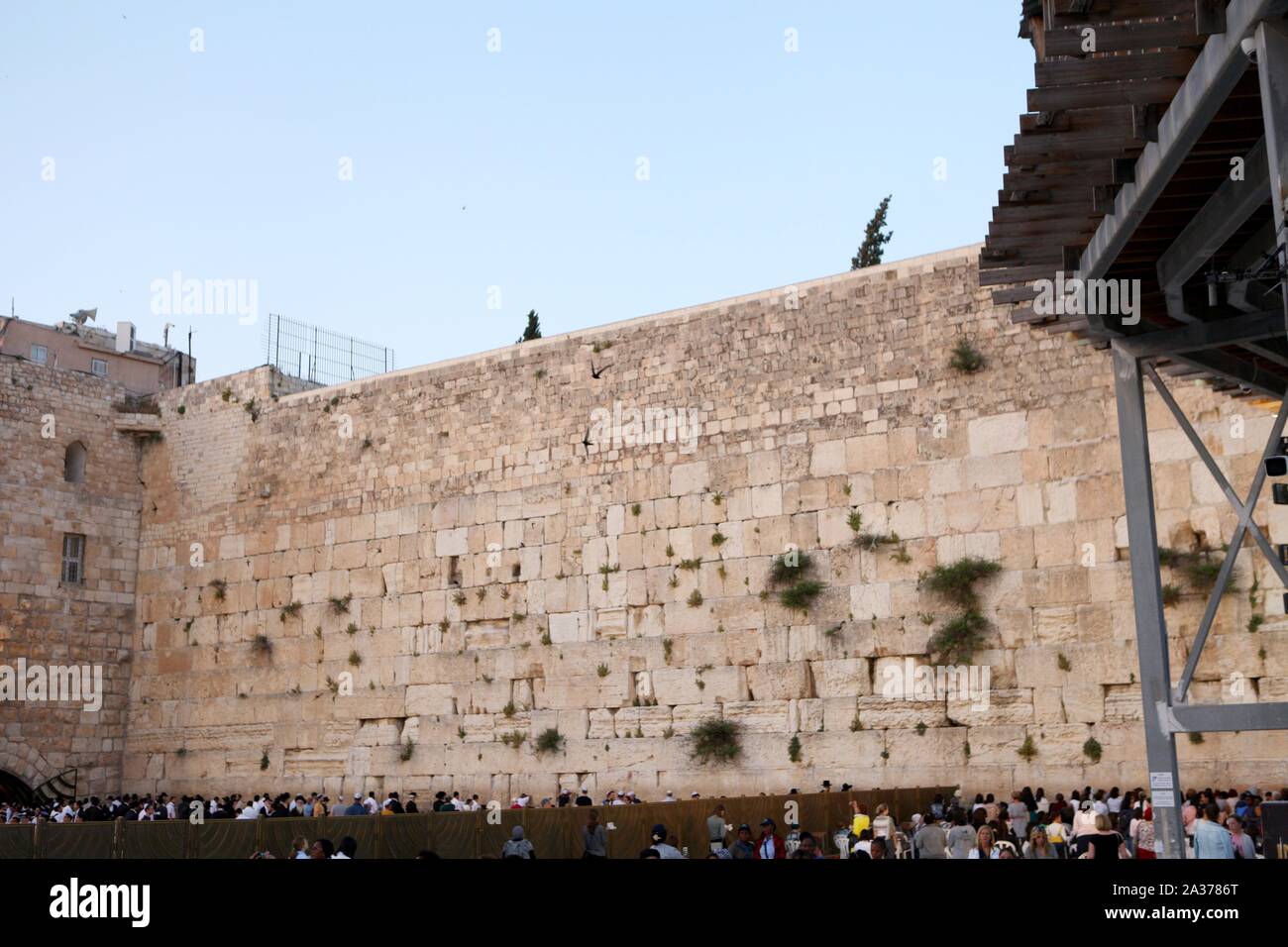 Worshipers at the Western Wall in Jerusalem, Israel. The wall is one of the holiest sites in Judaism except for the Temple Mount itself. Stock Photo