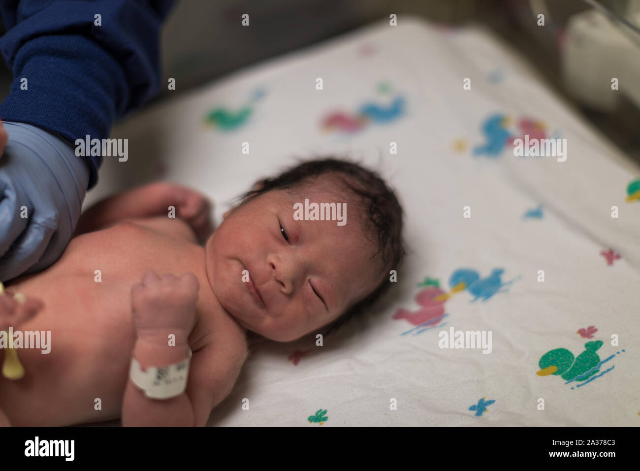 just born asian baby laying in the infant basket at hospital