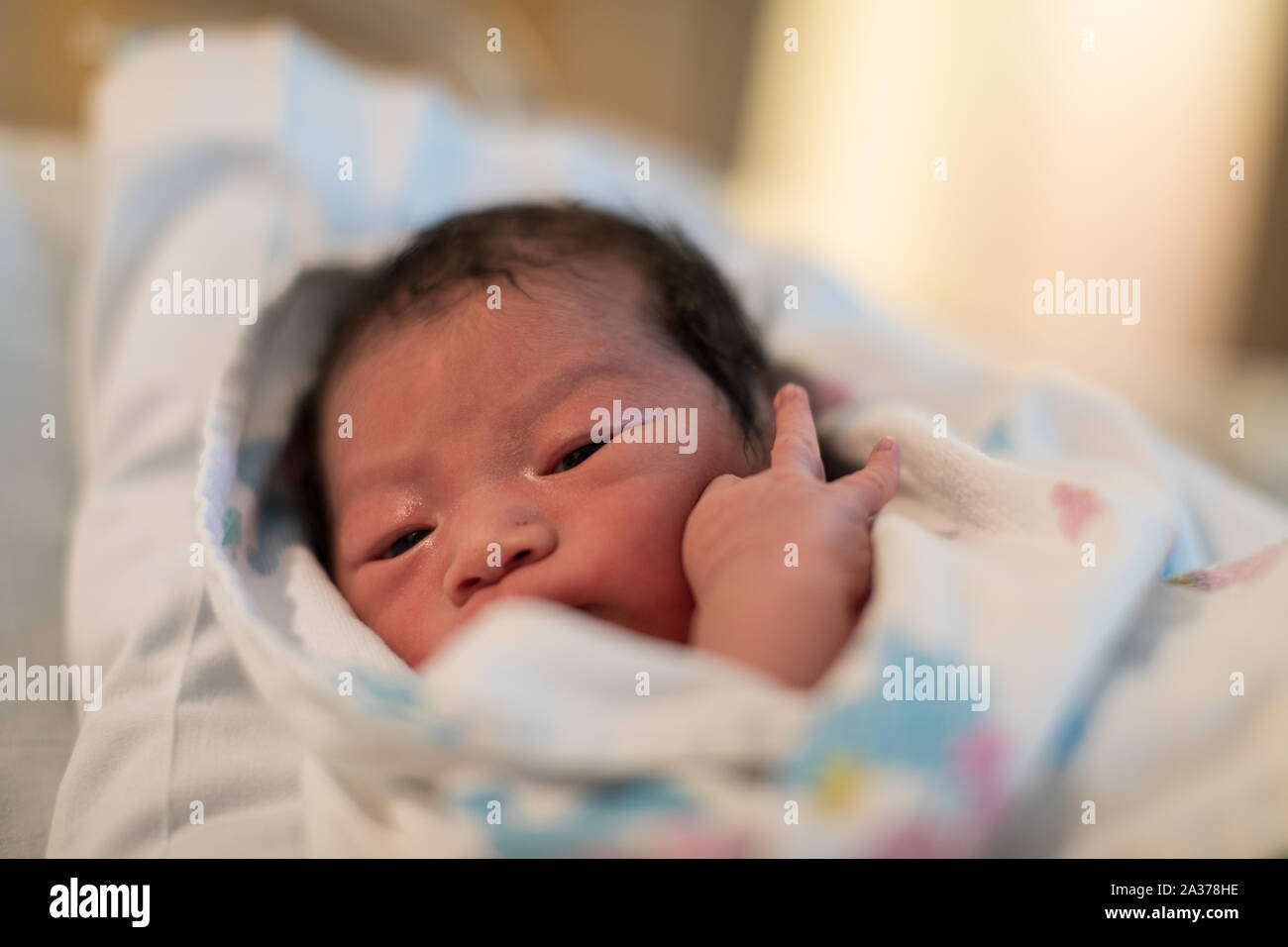just born asian baby laying in the infant basket at hospital