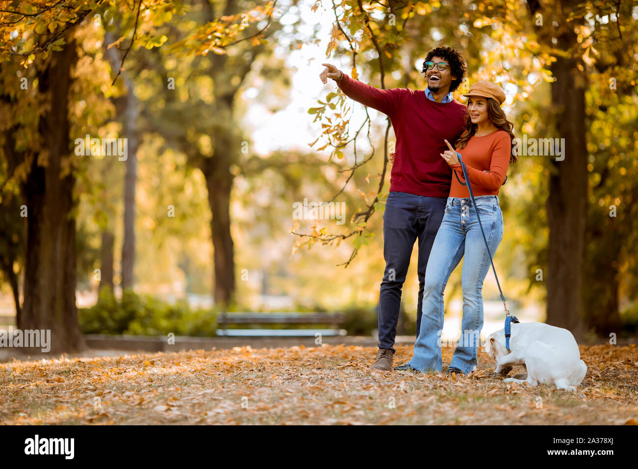 Multiracial young couple walking with dog in autumn park Stock Photo ...