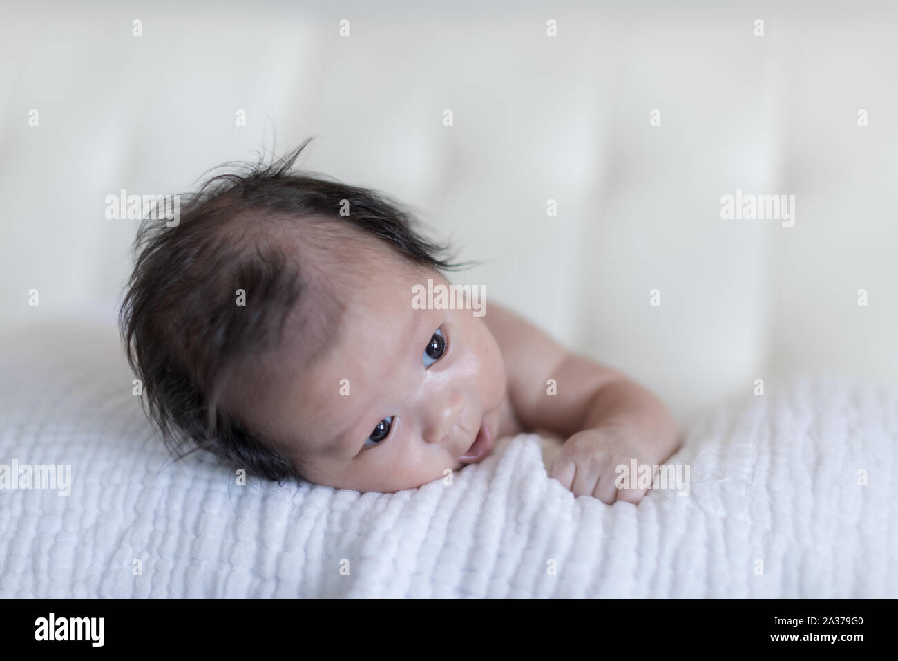 pix Cute Asian Baby Boy Photography alamy
