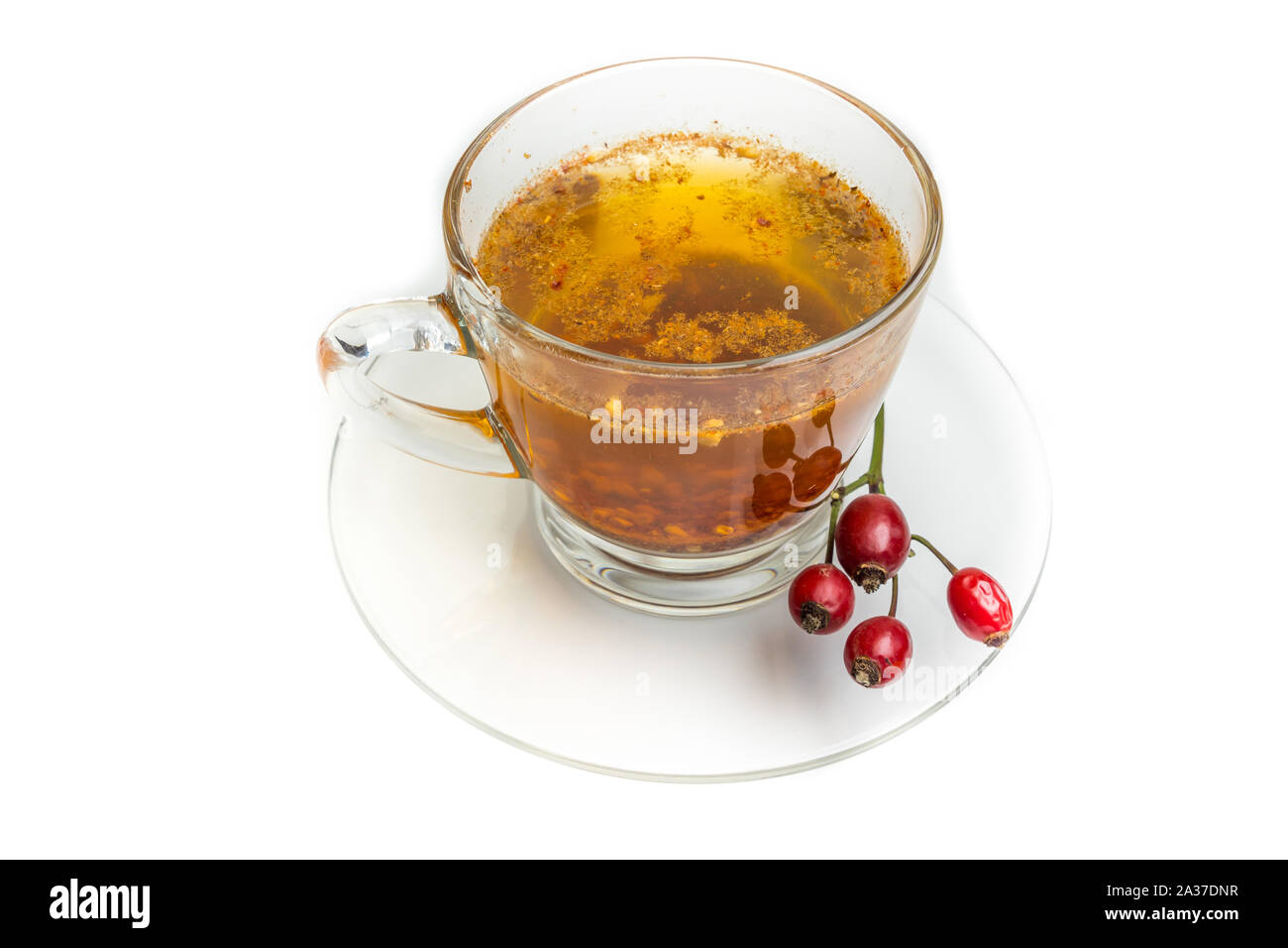 Rosehip tea isolated Stock Photo