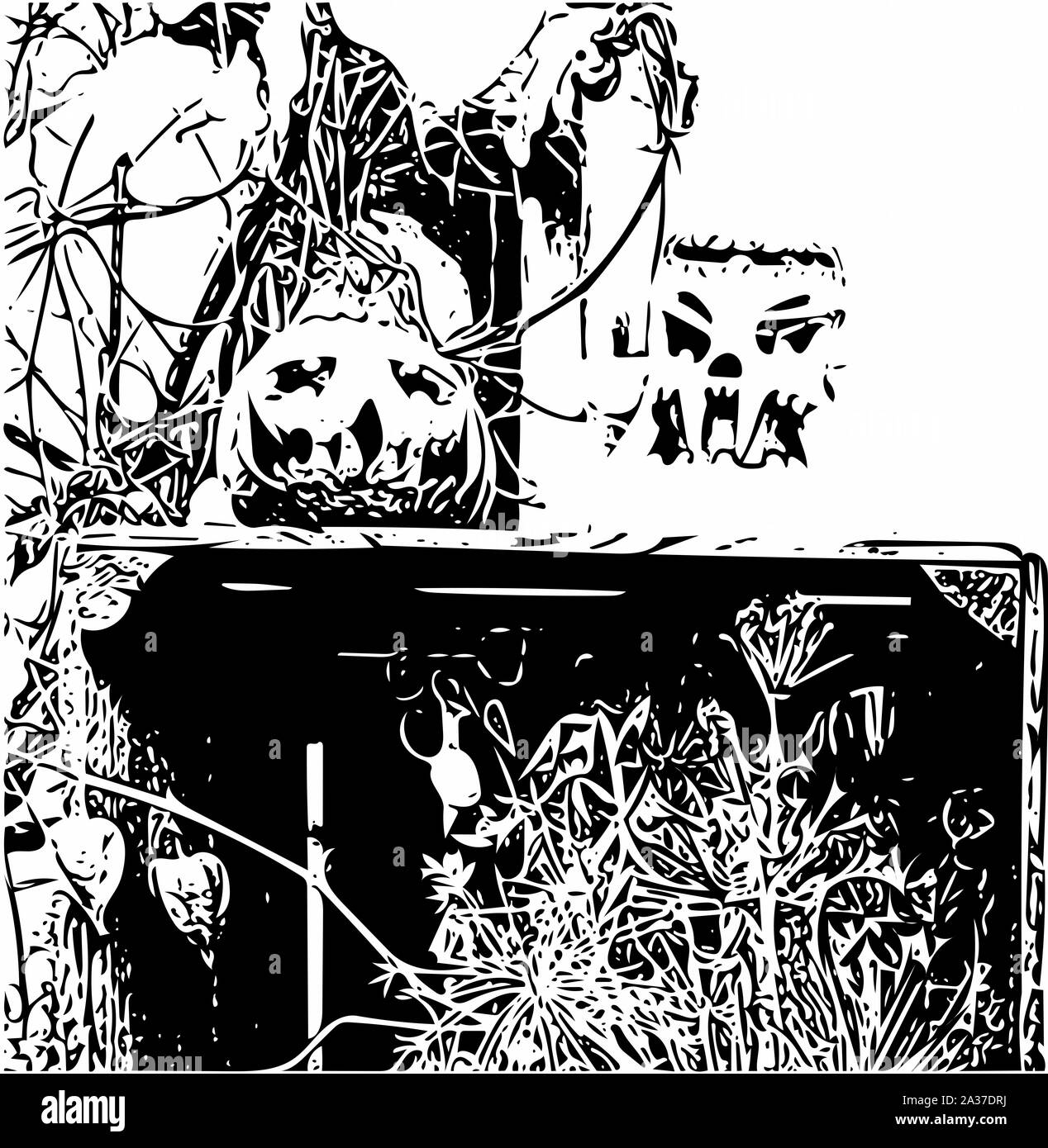 Artfully and ornate image of halloween pumpkins in black and white ...