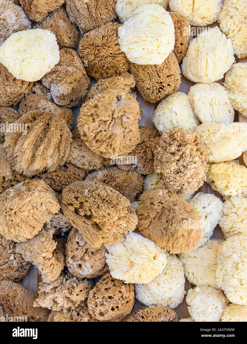 Kalymanian sponges, Kalymnos, Dodecanese, Greece Stock Photo